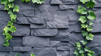 Poster - Gray stone wall adorned with lush green vines creating a natural decorative backdrop for interior or exterior design projects.