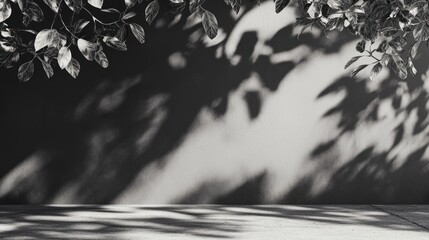 Aufkleber - Shadows of leaves on a wall and sidewalk in monochrome creating a serene outdoor atmosphere ideal for product display and design presentations
