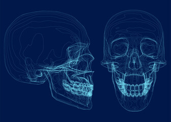 blue skull with line on abstract background. wireframe space low poly guard with lines. connection s