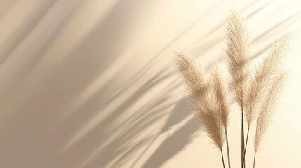 Poster - Pampas grass casting natural shadows on a light beige wall, highlighting soft textures and silhouettes of reeds against a neutral background, home decor, minimalism, serenity.