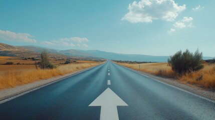 Wall Mural - Asphalt road vanishing into horizon under blue sky.