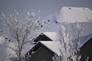 Wall Mural - snow covered in roofs