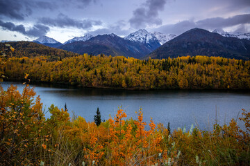 Wall Mural - scenic panoramic landscape in late autumn time in alaska.