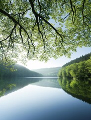 Poster - A serene lakeside view with trees along the shore contributing to local humidity through natural transpiration
