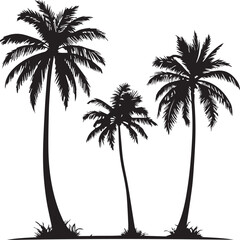 Wall Mural - silhouette of coconut tree