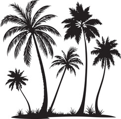 Wall Mural - silhouette of coconut tree