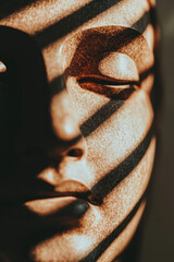 Poster - Abstract Shadowed Face with Warm Brown Tones and Dramatic Lighting