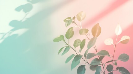 Wall Mural - A branch of leaves against a colorful wall.