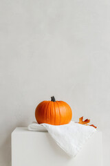 Poster - Minimalist Autumn Pumpkin Display on White with Orange Accents