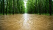 © Arfa_Media - Floodwaters rising in forest, creating a rushing river