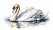 © julfiar - Watercolor painting of a swan on a white background