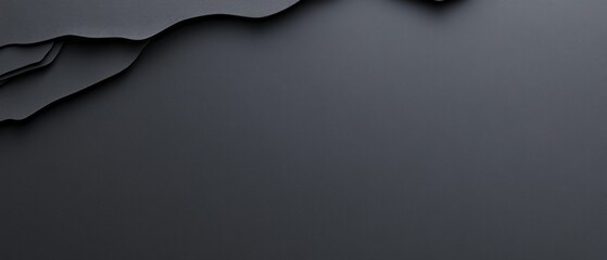 Poster - Smooth black surface with intricate layered curves showcasing a contemporary aesthetic