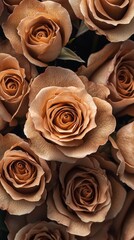 Aufkleber - A stunning collection of roses in soft beige and rich brown hues captures attention with its natural beauty. This bouquet radiates elegance, ideal for adding charm to celebrations or cozy gatherings