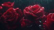 © KYR - Roses glisten with drops of blood rain, their petals vivid and saturated with deep red tones in a hauntingly beautiful shot