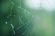 © Angelo - Close-up of a delicate spider web glistening with dew against a blurred green background.