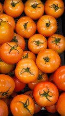 Poster - Tomatoes are rich in vitamin C, which may help maintain healthy skin.