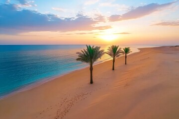Poster - A serene image of sunrise over the Abu Dhabi desert, with long shadows cast by the dunes and soft golden light