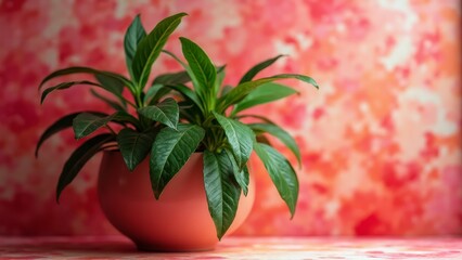 Wall Mural - A potted plant sitting on top of a table