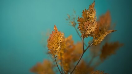 Wall Mural - A close up of a plant with a blue background