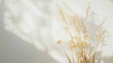 Poster - Dried grass and flowers casting soft shadows on a bright white wall creating a minimalist and serene aesthetic