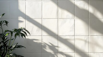 Poster - Stylish white wall tiles with sunlight shadows and green plant Modern tile design aesthetic for home improvement interiors