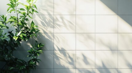 Poster - Modern white tile wall with natural light and green foliage creating shadows Elegant home decor and improvement concept