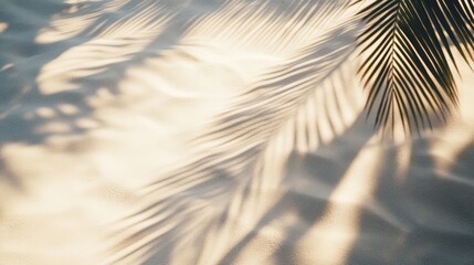 Leinwandbilder - Top view of sand texture with palm tree shadows creating a serene summer vacation holiday atmosphere for travel related concepts