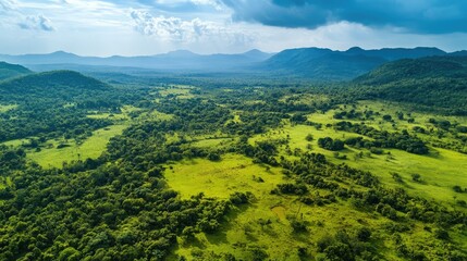 Poster - Aerial view of a lush green landscape with rolling hills under a dramatic sky showcasing nature's beauty and tranquility