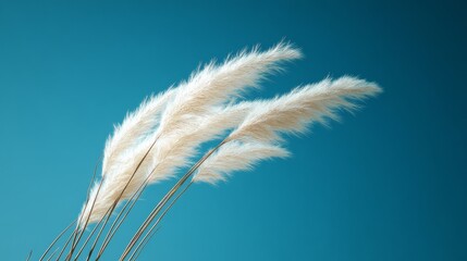 Wall Mural - Pampas Grass Against Blue Sky