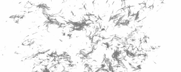 Wall Mural - luxury white paper texture with speckled grunge black and white crack paper texture design. rustic t