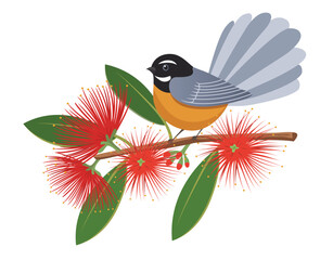 A fantail bird perched on a branch of a pohutukawa tree