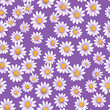 © Digital Waves - Scattered Daisies on Purple Background