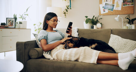 Wall Mural - Calm, dog and phone with woman on sofa for bonding, social media post and pet adoption. Relax, scroll and animal rescue with person in living room at home for foster care, search and online app