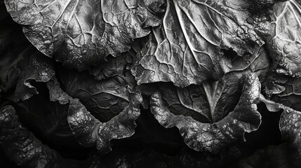 Poster - Exploring vegetable textures close-up macro photography in an artistic studio environment