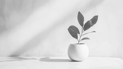 Poster - Minimalist textured white background for branding, blending modernity with simplicity.