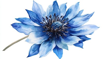 Canvas Print - Watercolor Painting of a Single Blue Flower