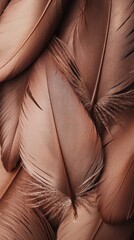 Aufkleber - Soft mocha feathers display intricate textures, inviting inspiration for modern decor and fashion statements in stylish settings