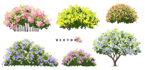 Fototapete - Vector of tree or blooming  side view isolated on white background ,watercolor tree elevation for landscape concept,environment scene,eco design,blossom garden for spring