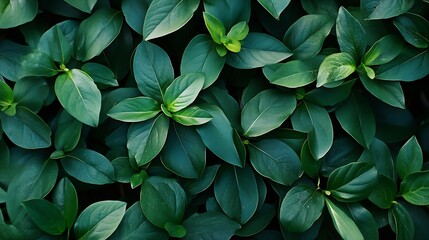 Aufkleber - Lush Green Leaves Texture Nature Inspired Plant Foliage for Botanical and Environmental Design : Generative AI