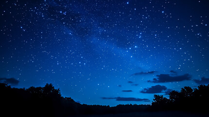Wall Mural - dark blue night sky filled with stars above a tree-filled landscape