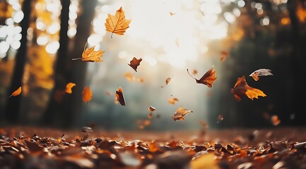 Poster - Golden Autumn Leaves Falling Gracefully in a Sunlit Forest Scene with Blurred Background : Generative AI