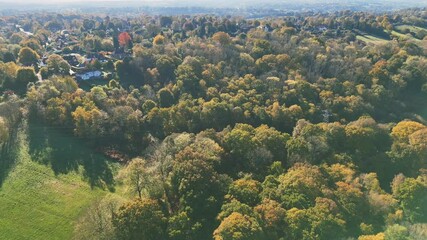 Sticker - Aerial scenery of dense forest at fall with warm sunlight illuminating the area