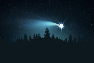 Poster - Christmas night. The first star lit up in the winter forest with snow and the night starry sky. Christmas Eve concept. Comet falls in the starry night sky