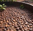 © chaiwat - Cocoa beans fermenting in a pit with muddy water and leaves, leaves, process
