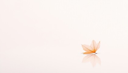 Poster - Minimalist Composition of a Single Leaf Floating Gracefully on a Calm Surface with Soft Reflection