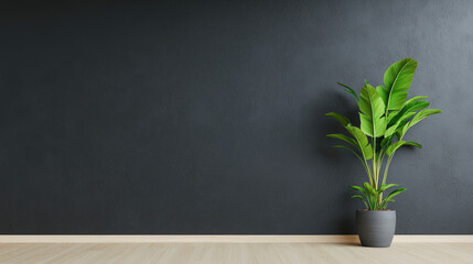 Wall Mural - Modern minimalist room, dark gray stucco walls, empty space, decorative plant in pot, serene ambiance, ideal for creative projects.