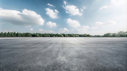 Wall Mural - a road with a puddle of water and trees in the background5