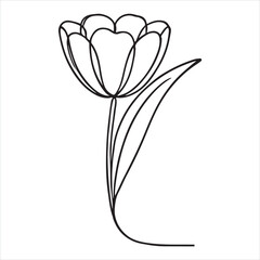  tulip flower,flower line art silhouette on white background
