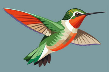 Wall Mural - Ruby-throated Hummingbird vector art illustration.