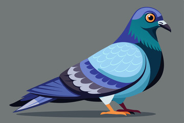 Wall Mural - Rock Pigeon bird vector art illustration.